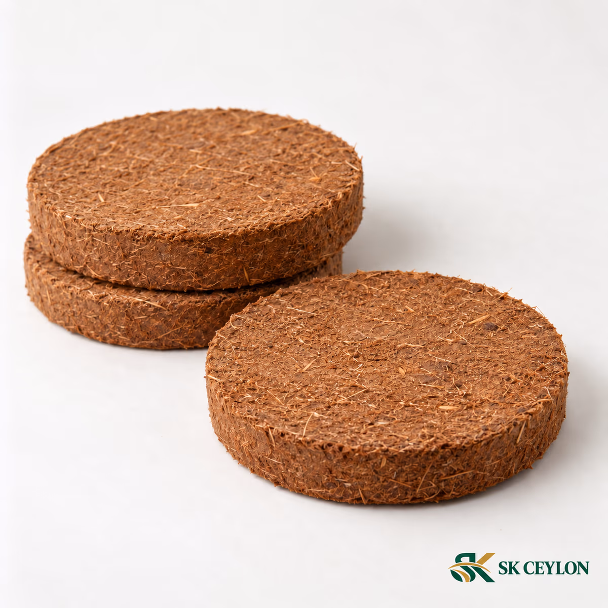 Three compressed coco peat discs, two stacked and one in front