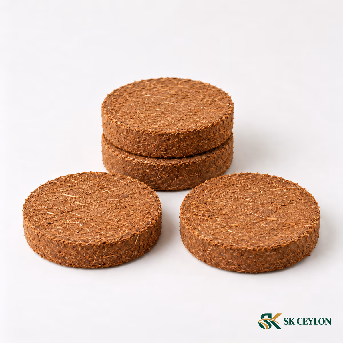 Four compressed coco peat discs arranged on a white surface