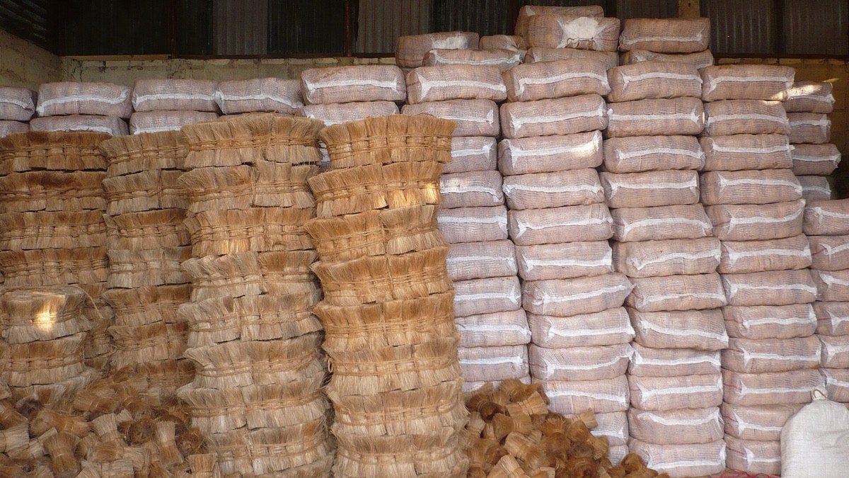 Baled golden coir fiber stacked in an export warehouse