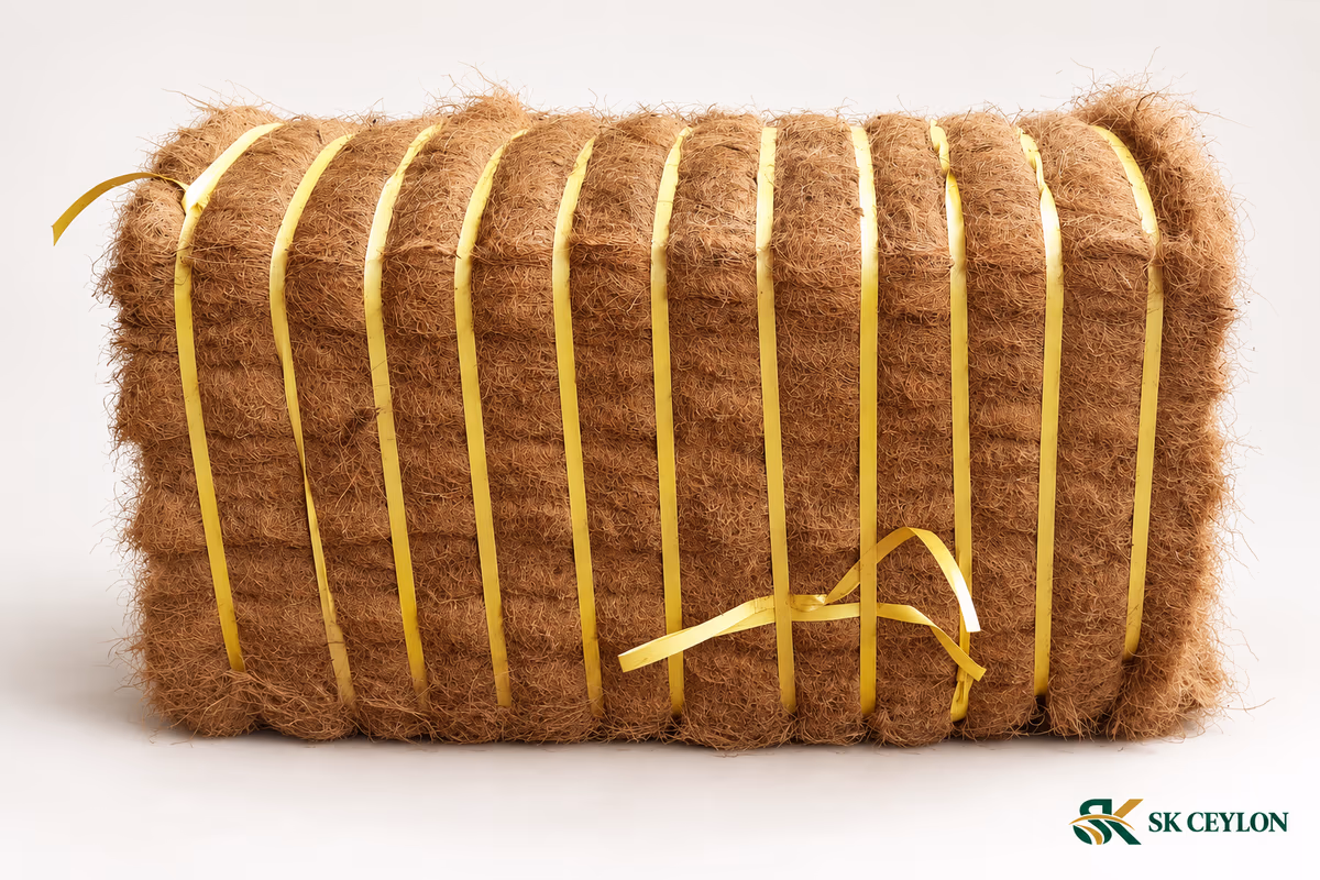Compressed coir fibre bale bound with yellow straps