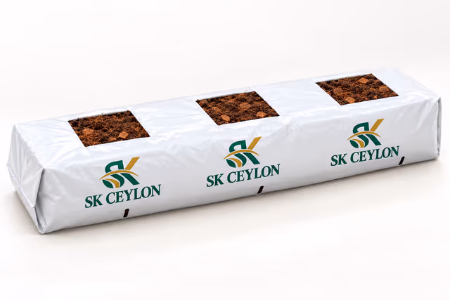 SK Ceylon coco grow bag with three planting holes cut in white UV-treated film